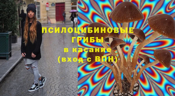 прущая мука Верея
